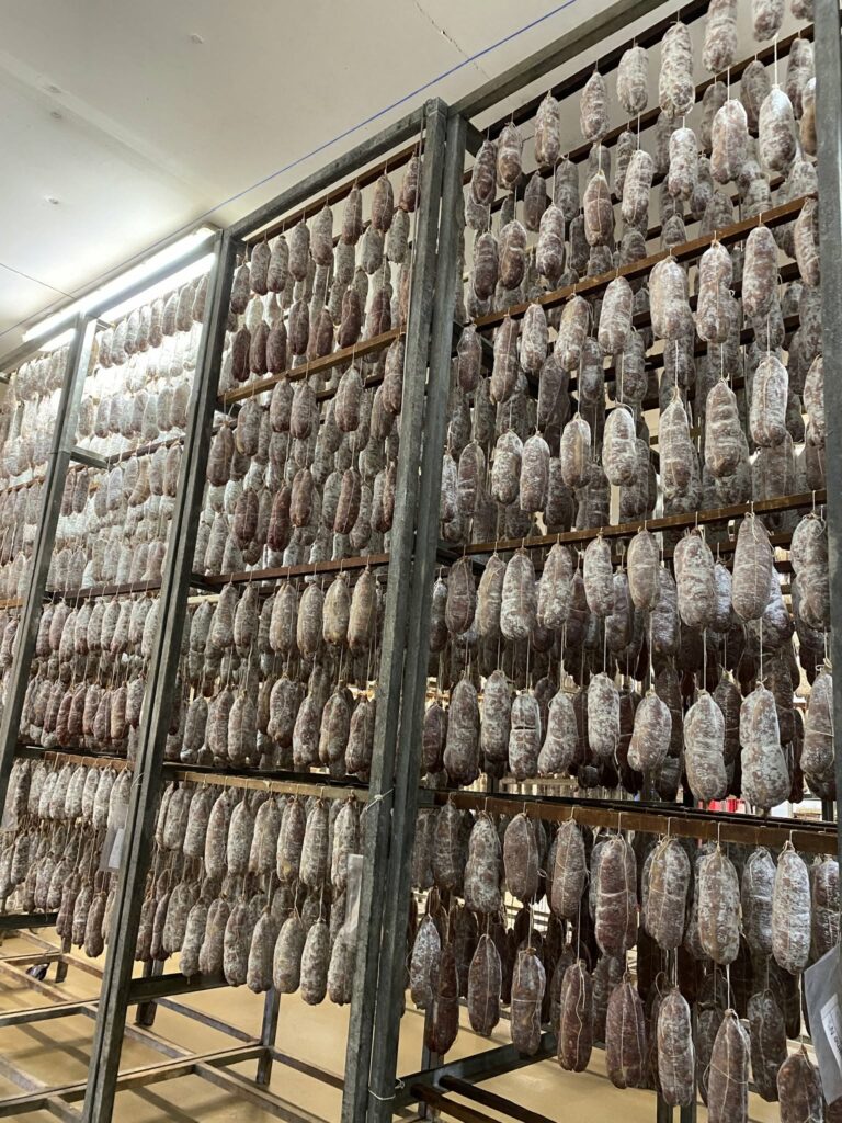 Saucissons des Salaisons Pichon dans leur séchoir