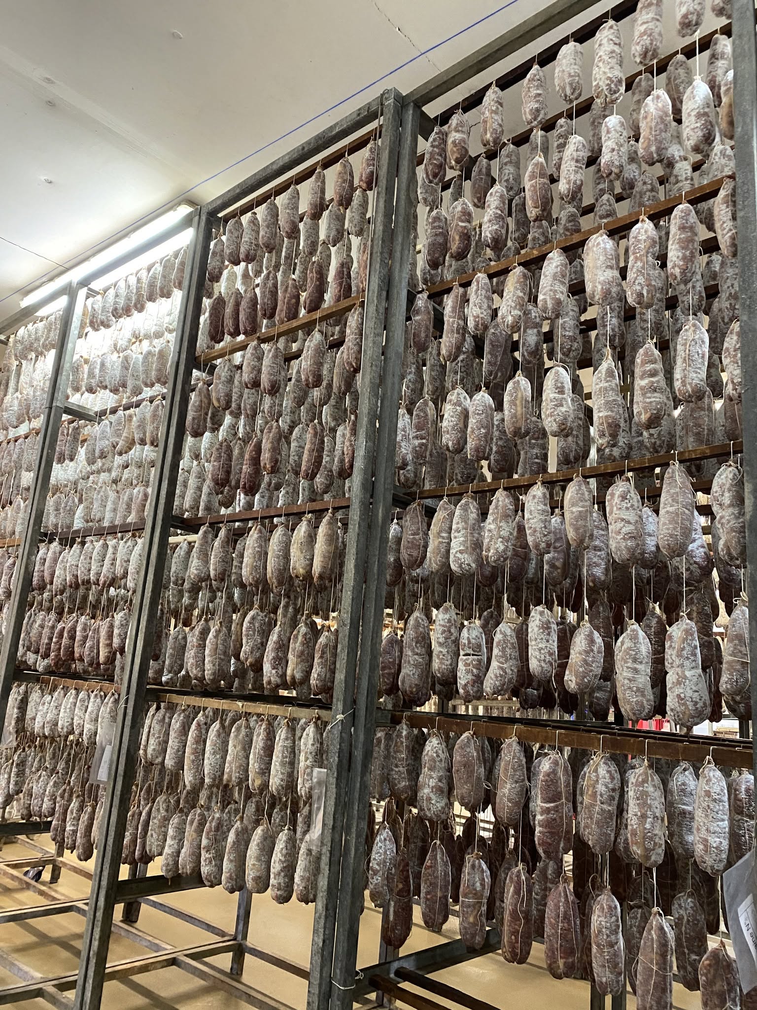 Saucissons des Salaisons Pichon dans leur séchoir